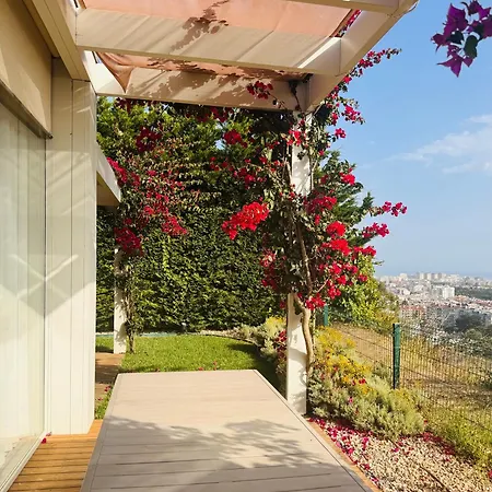 Luxury House On The Cliff