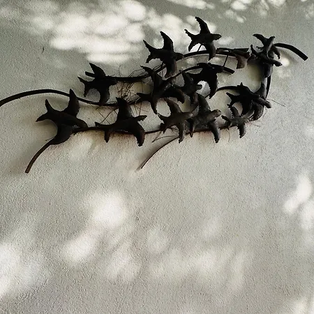 Luxury House On The Cliff *