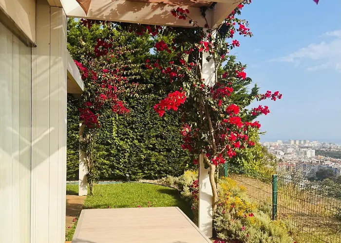 Luxury House On The Cliff