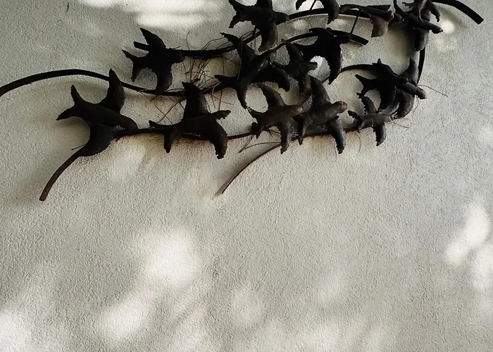 Luxury House On The Cliff *